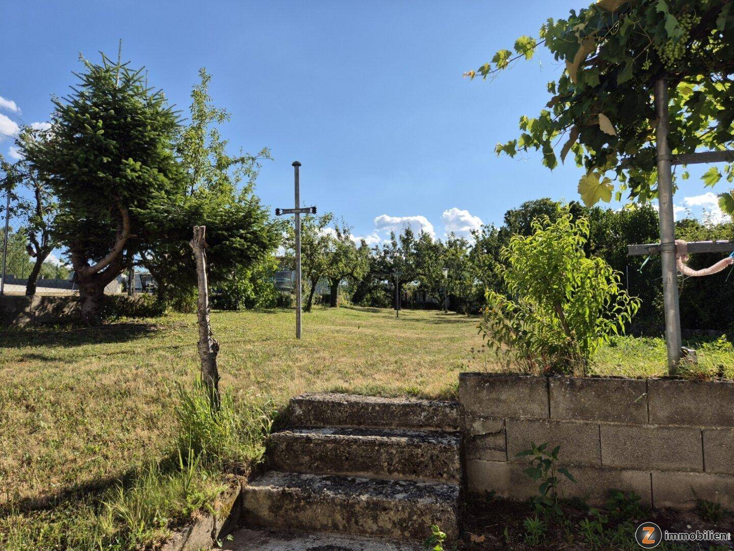 Großer Garten mit Rasenfläche, Obstbäumen und alten Steinstufen.