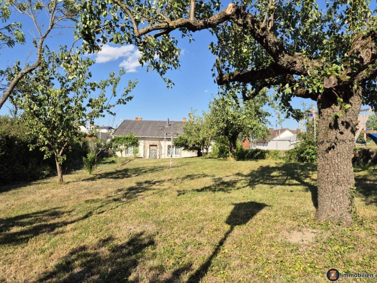Großer, gepflegter Garten mit alten Obstbäumen und Rasenfläche, das Haus im Hintergrund.