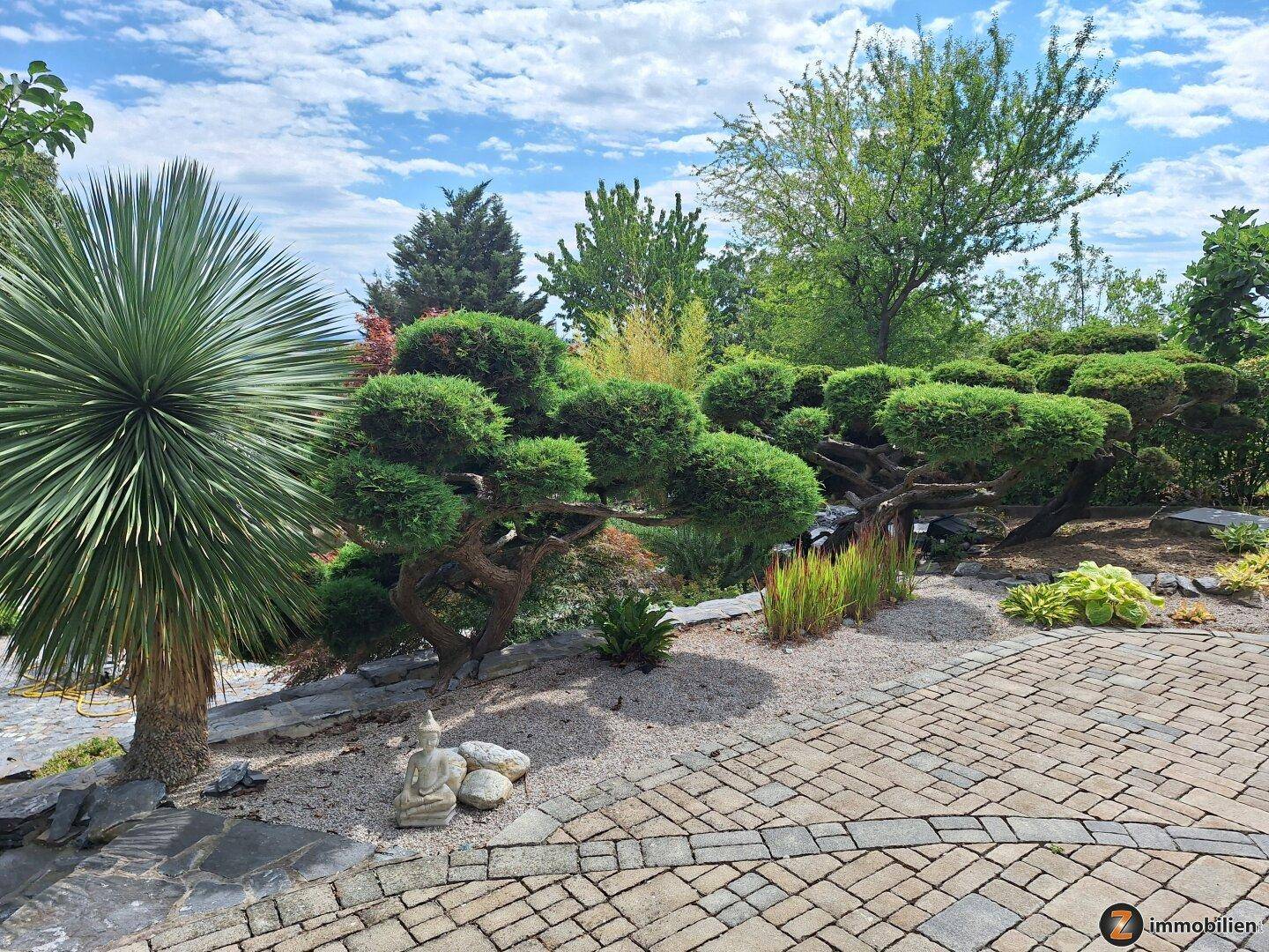 Mediterraner Gartenbereich mit Yucca-Palme, Bonsai-Bäumen und gepflastertem Weg.
