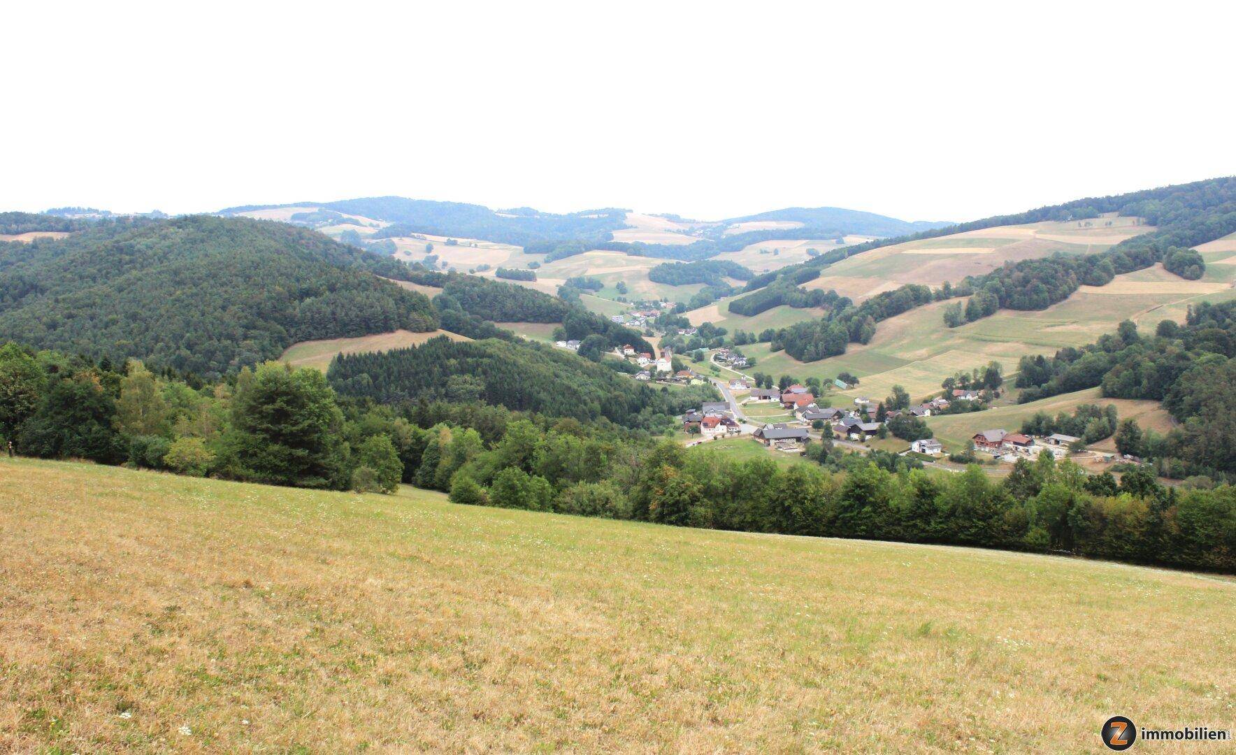 Weitläufiger Blick über sanfte Hügel und grüne Täler mit verstreuten Häusern in der Ferne.