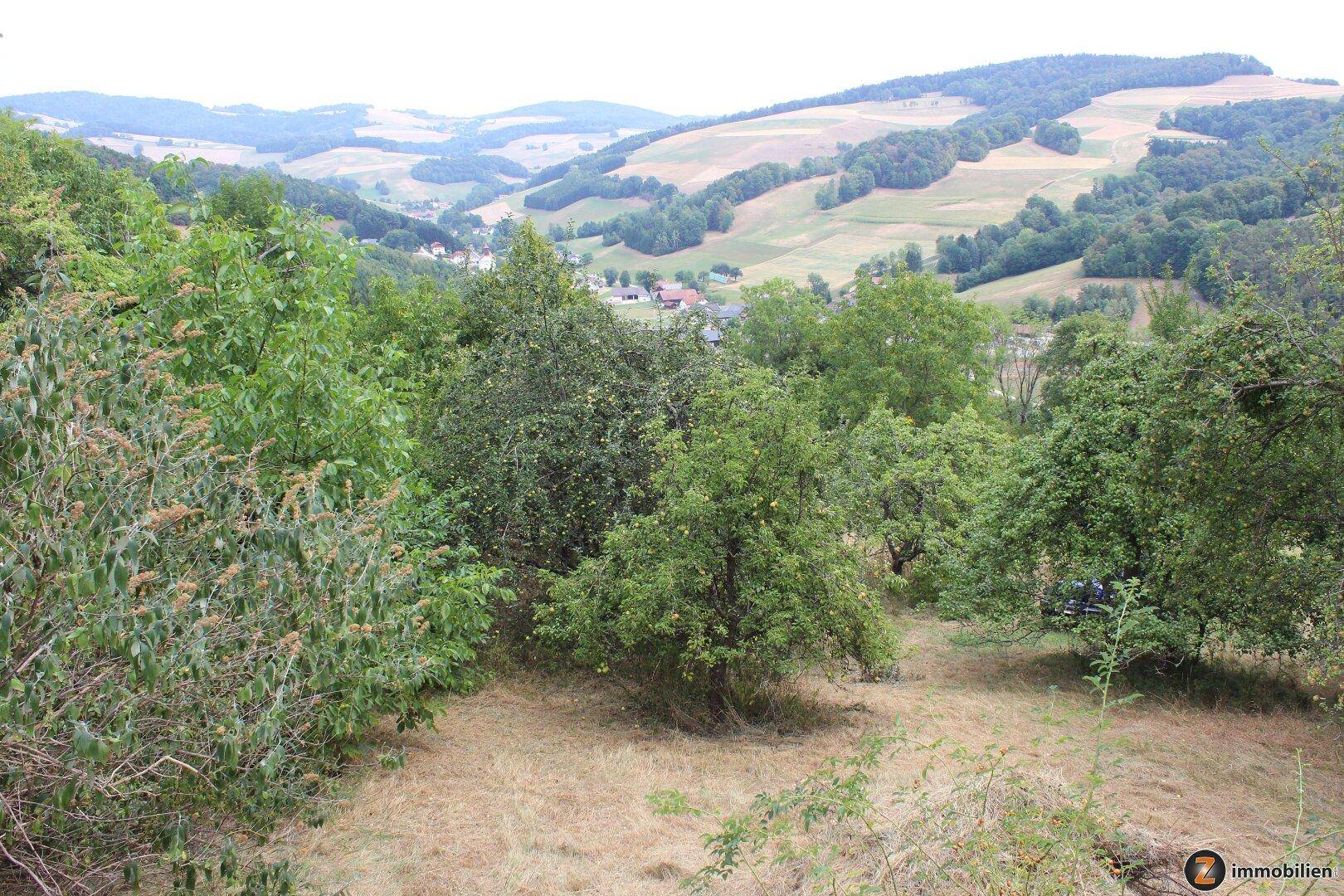Panoramablick über die hügelige Landschaft mit Obstbäumen und einem Dorf in der Ferne.