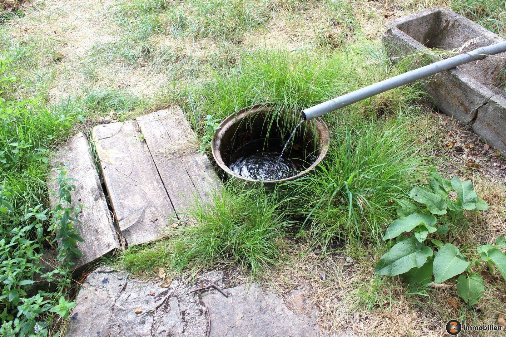 Einfache Wasserstelle im Garten mit einem Rohr, das Wasser in ein Metallbecken leitet.