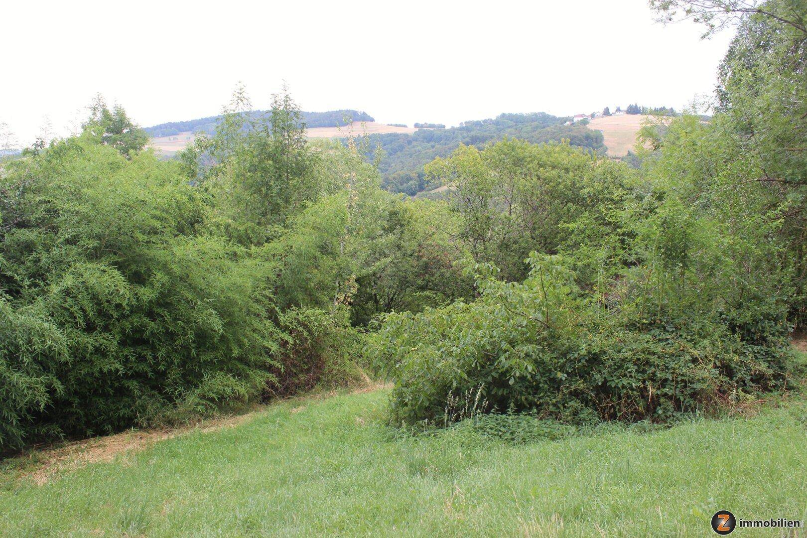 Grüne Hügellandschaft mit dichter Vegetation und Bäumen, die die Sicht auf die Ferne verdecken.