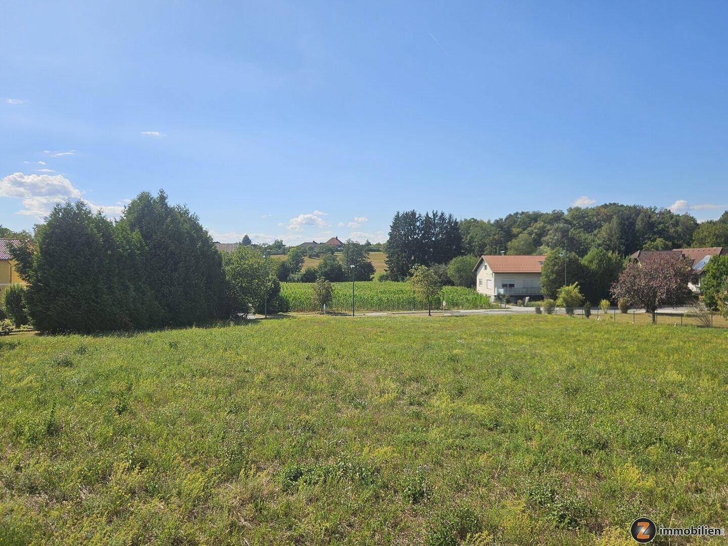 Offenes grünes Feld mit Blick auf die ländliche Umgebung und angrenzende Wohnhäuser.