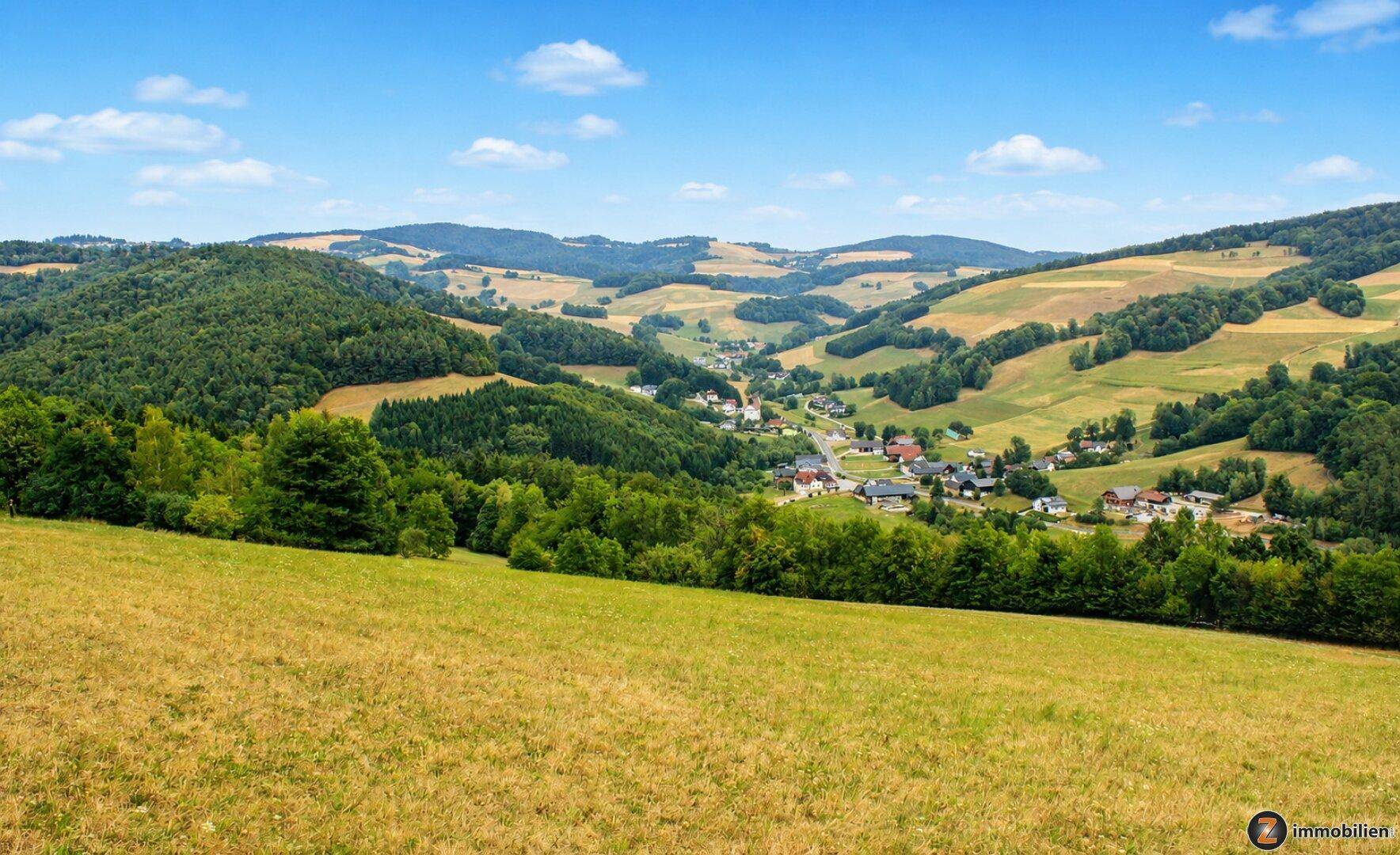 Weitläufige Landschaft mit grünen Hügeln, Wäldern und einem kleinen Dorf im Tal unter blauem Himmel.