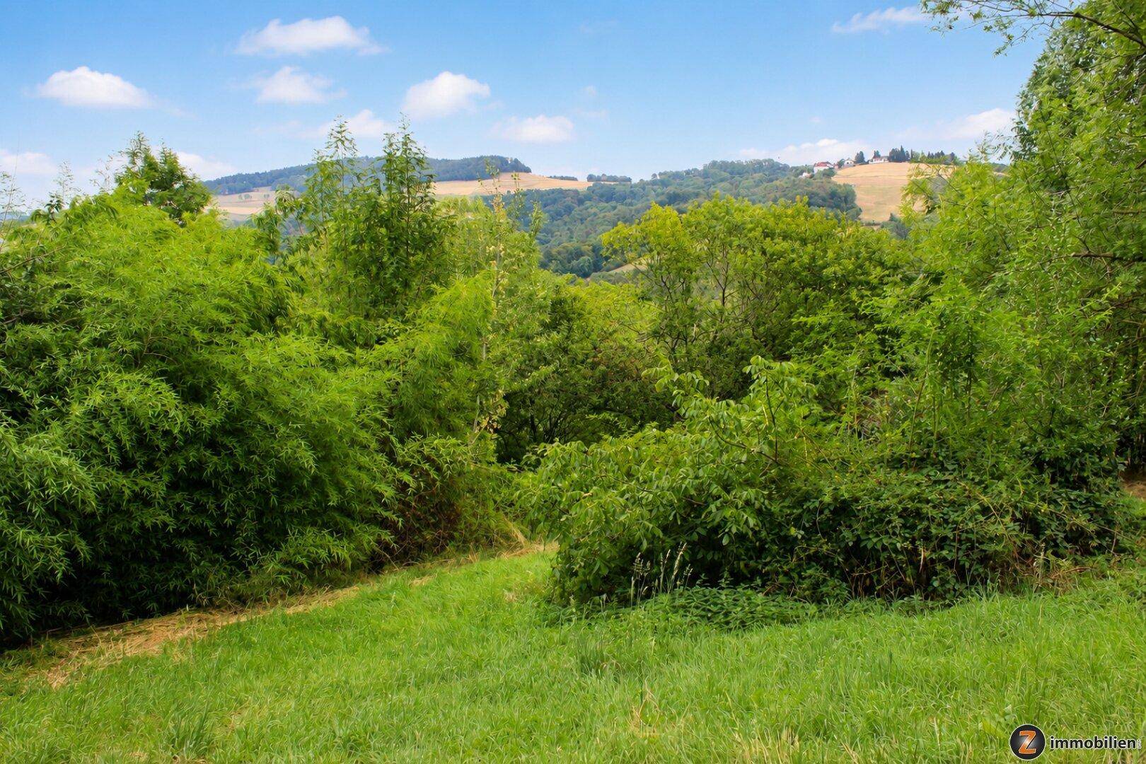 Üppige grüne Vegetation und Bäume prägen den Vordergrund mit sanften Hügeln im sonnigen Hintergrund.
