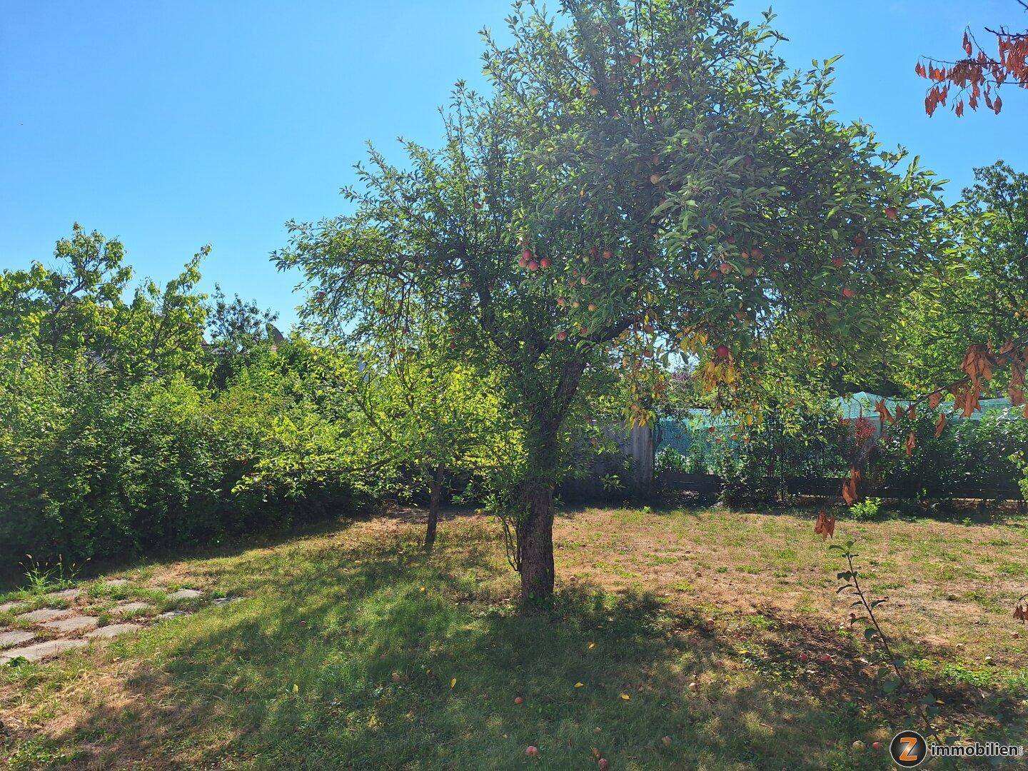 Großer Garten mit Obstbäumen und Rasenfläche unter blauem Himmel.
