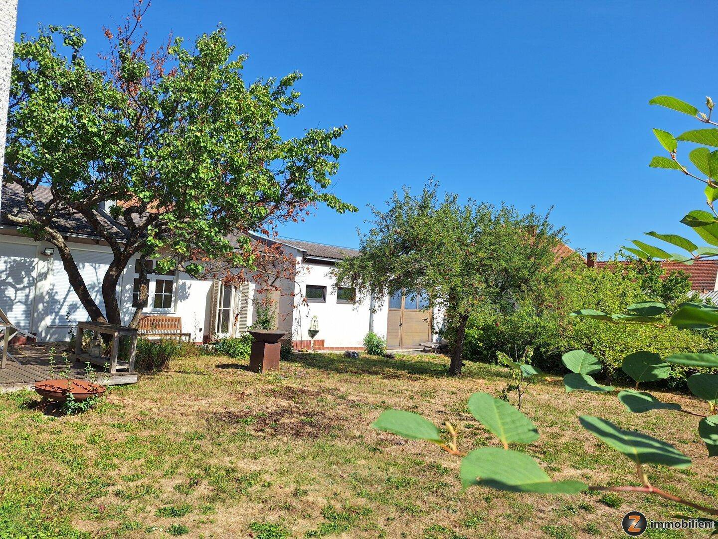 Großer Gartenbereich mit Rasenfläche und Obstbäumen hinter dem Haus unter blauem Himmel.