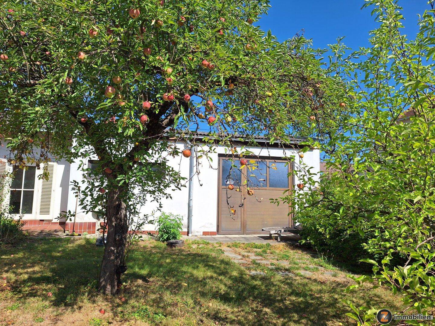 Gartenbereich mit einem Apfelbaum voller Früchte und einer Garage im Hintergrund.