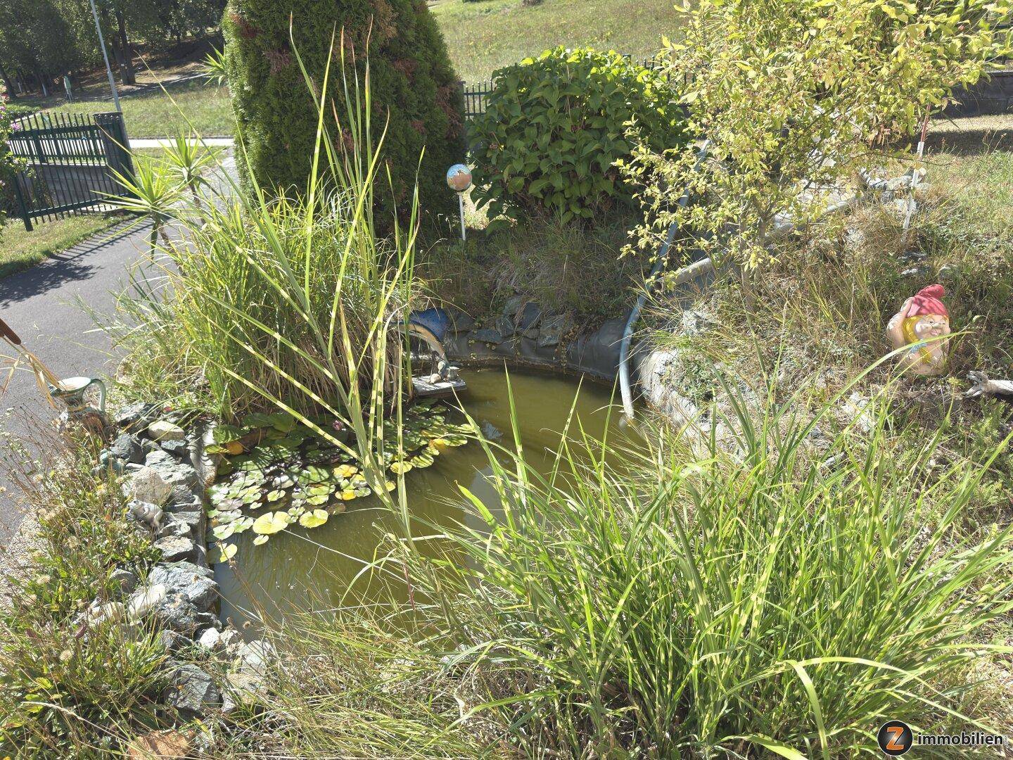Kleiner Gartenteich mit Wasserpflanzen und dekorativen Elementen, umgeben von üppigem Grün.