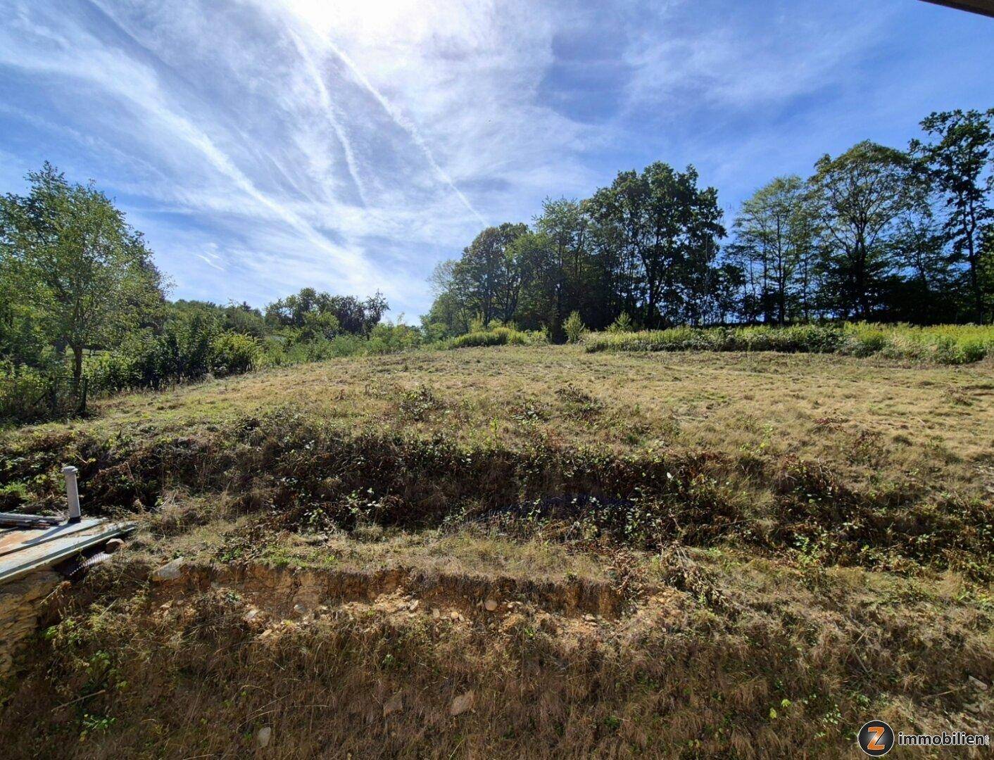 Weitläufige Wiesenlandschaft mit Bäumen am Horizont unter blauem Himmel.
