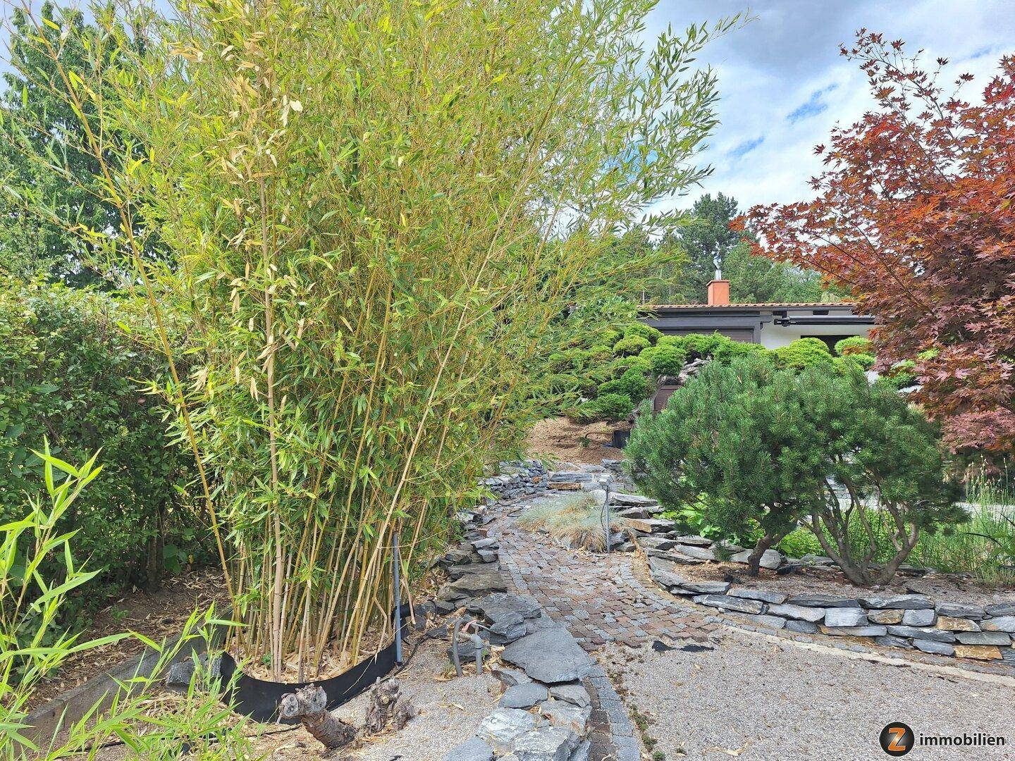 Gartenweg mit hohen Bambuspflanzen, Steinbegrenzungen und einem roten Ahornbaum im Hintergrund.