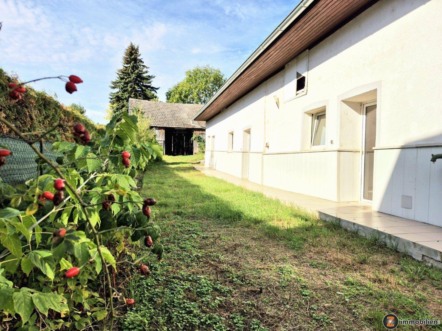 Grüner Gartenbereich mit Hagebuttensträuchern und Blick auf die Hausfassade und ein Nebengebäude.