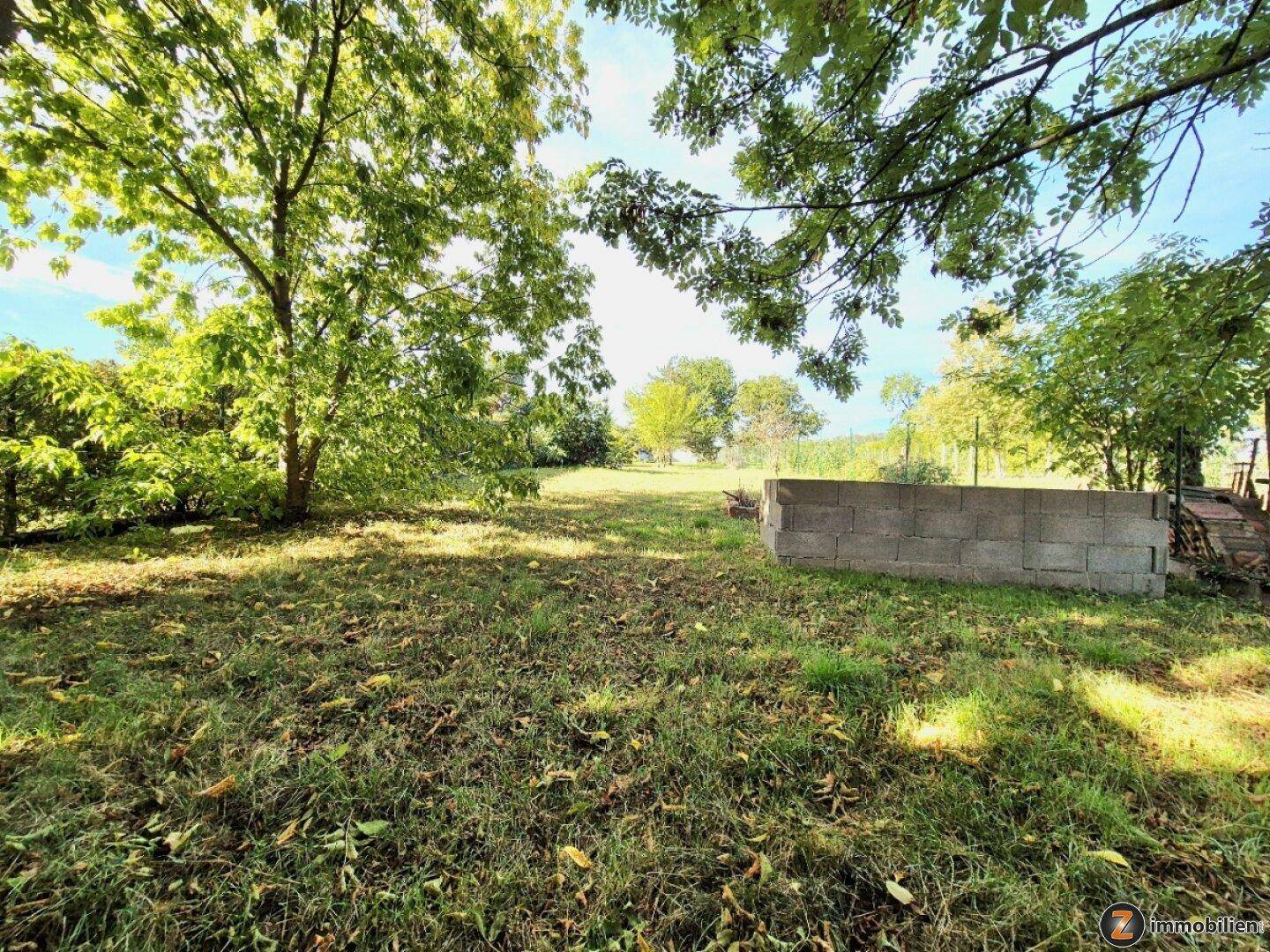 Großer, sonniger Gartenbereich mit altem Baumbestand und viel Grünfläche im ländlichen Umfeld.