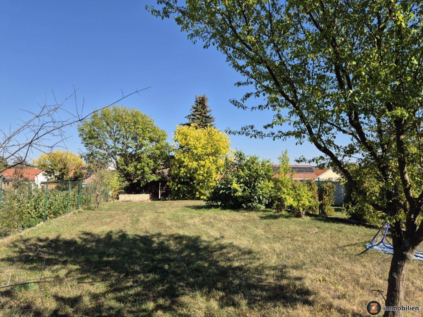 Weitläufiger Gartenbereich mit Rasenfläche, verschiedenen Bäumen und einem Trampolin im Hintergrund.