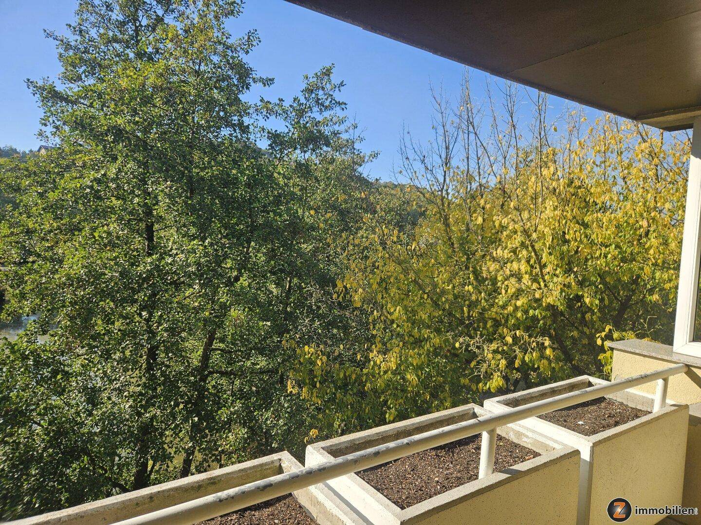 Sonniger Balkon mit weitem Blick auf Bäume und die umliegende Natur.