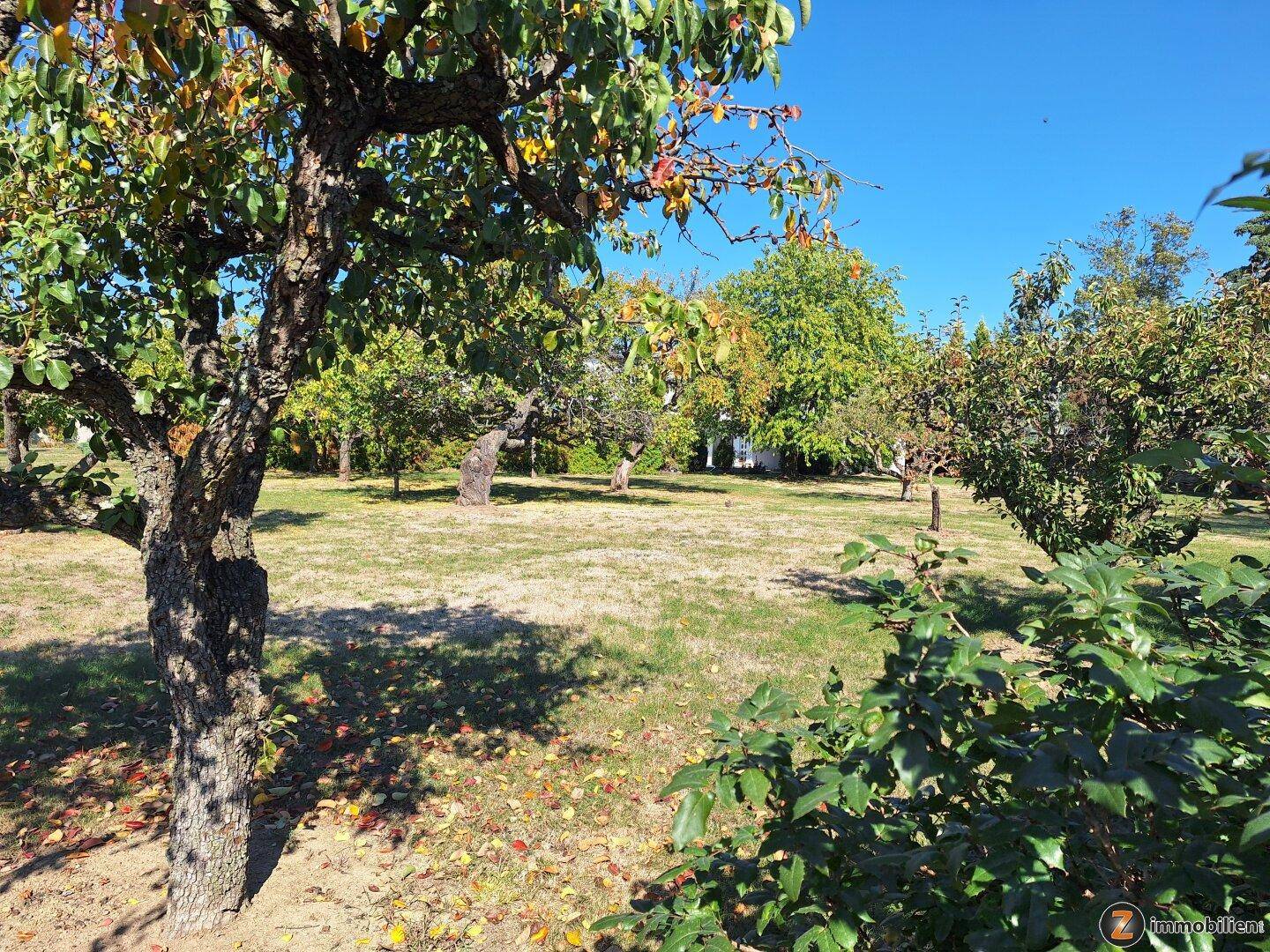 Weitläufiger Garten mit Obstbäumen und Rasenfläche unter strahlend blauem Himmel.