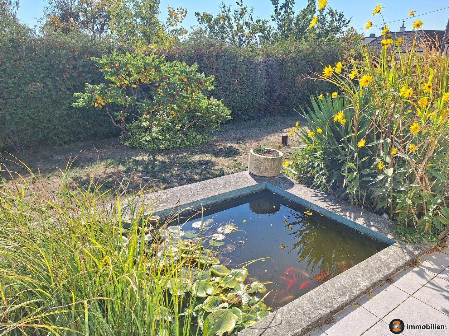 Gartenteich mit Seerosen und Goldfischen, umgeben von üppiger Bepflanzung und Hecke.