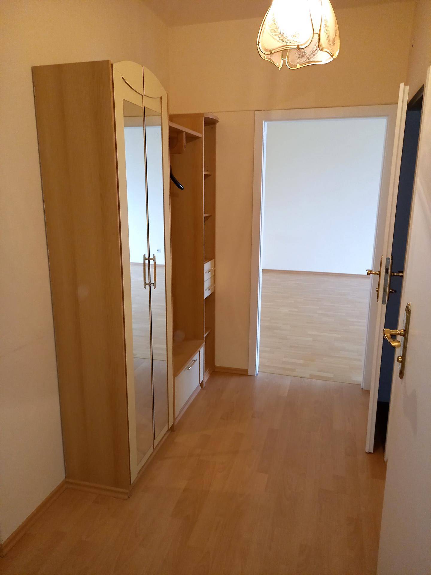 Heller Flur mit Laminatboden und einem Spiegelschrank, der zu weiteren Räumen führt.