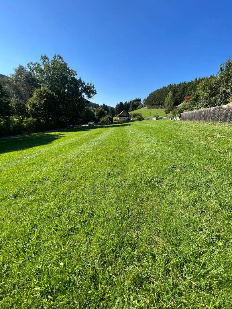 Gepflegtes, weitläufiges grünes Grundstück unter strahlend blauem Himmel mit Bäumen im Hintergrund.