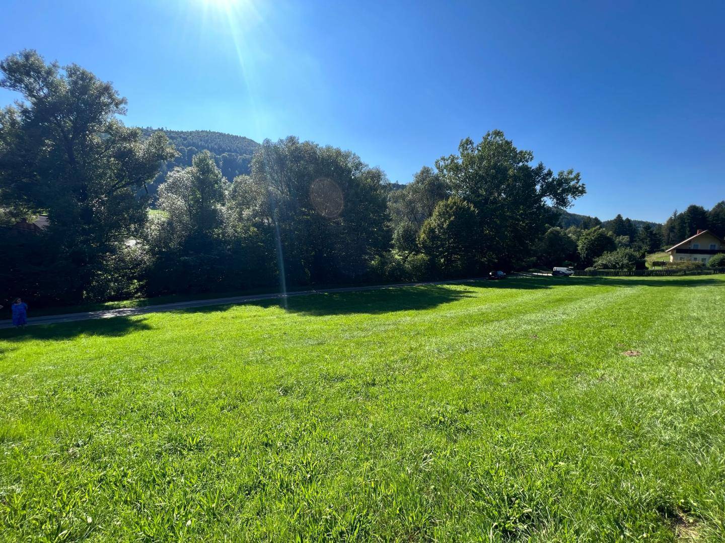 Sonnige, weite Grünfläche mit Bäumen und Hügeln im Hintergrund unter strahlend blauem Himmel.