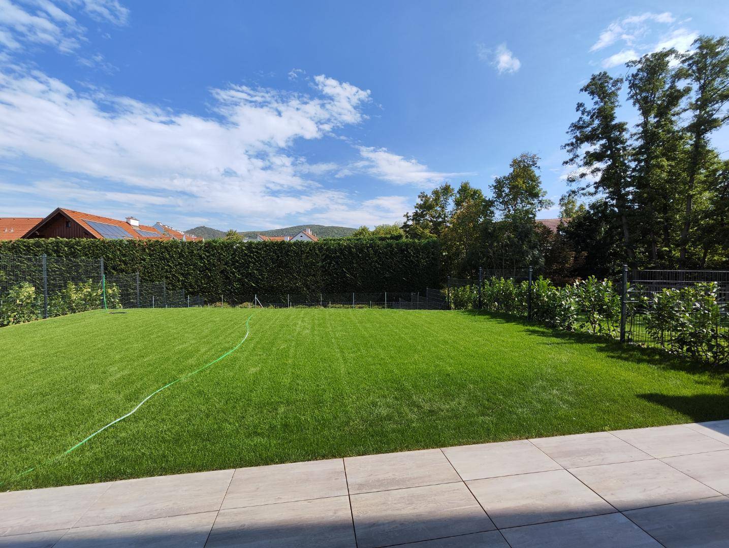 Gepflegter Rasenbereich mit hoher Hecke und angrenzender Terrasse unter blauem Himmel.