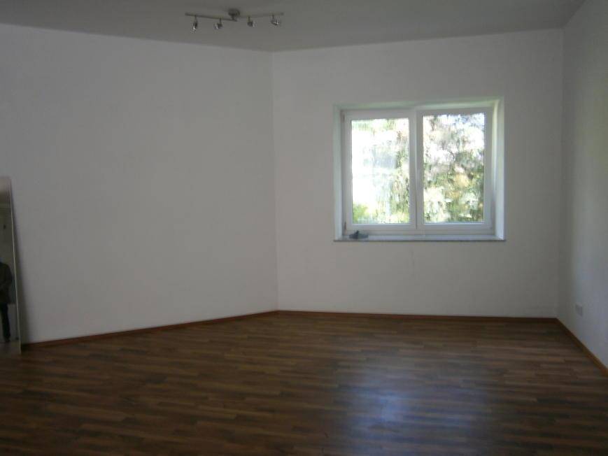 Leerer Raum mit weiß gestrichenen Wänden, dunklem Laminatboden und einem Fenster mit Blick ins Grüne.