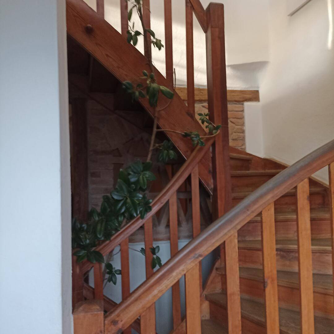 Holztreppe mit Geländer und Pflanzen, die zu den oberen Etagen führt.