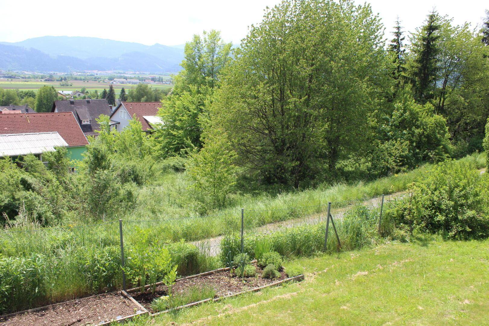 Kleiner Gemüsegarten mit Beeten und Blick auf die umliegende grüne Landschaft und Berge.