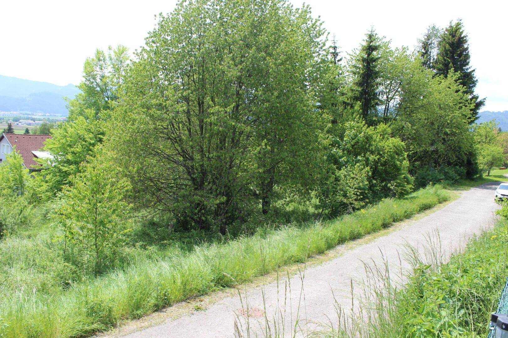 Schmaler Pfad durch üppiges Grün mit Blick auf Häuser und die umliegende Landschaft.