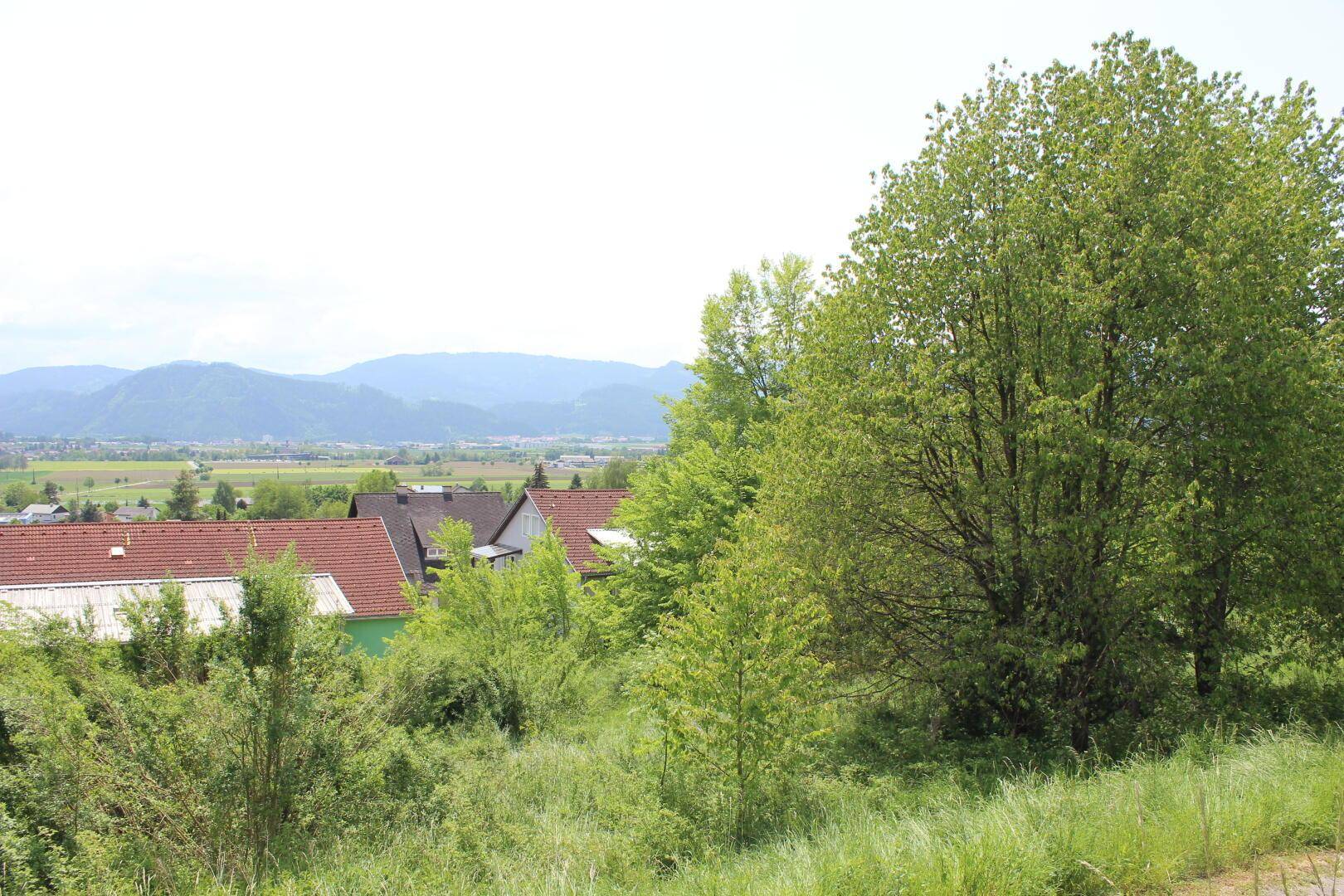 Grüne Bäume und Sträucher im Vordergrund mit Häusern und Bergen in der Ferne.