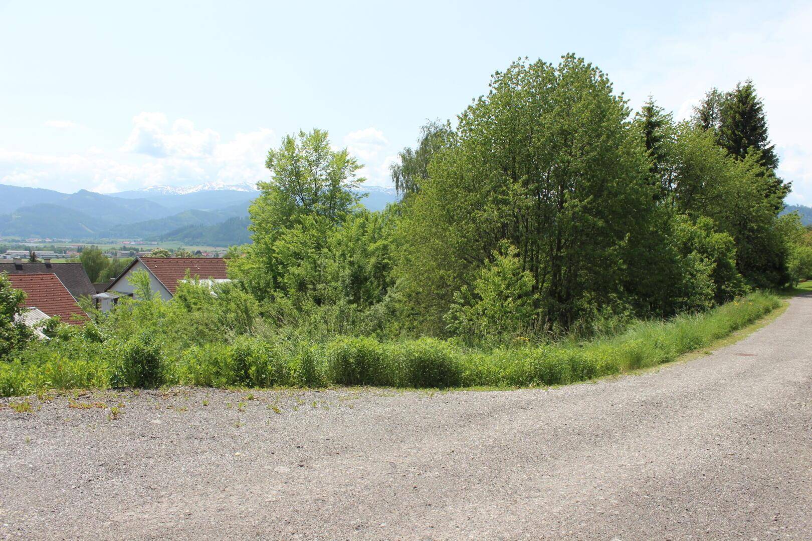 Schotterweg mit grünen Böschungen und Blick auf Häuser und ferne Berge.