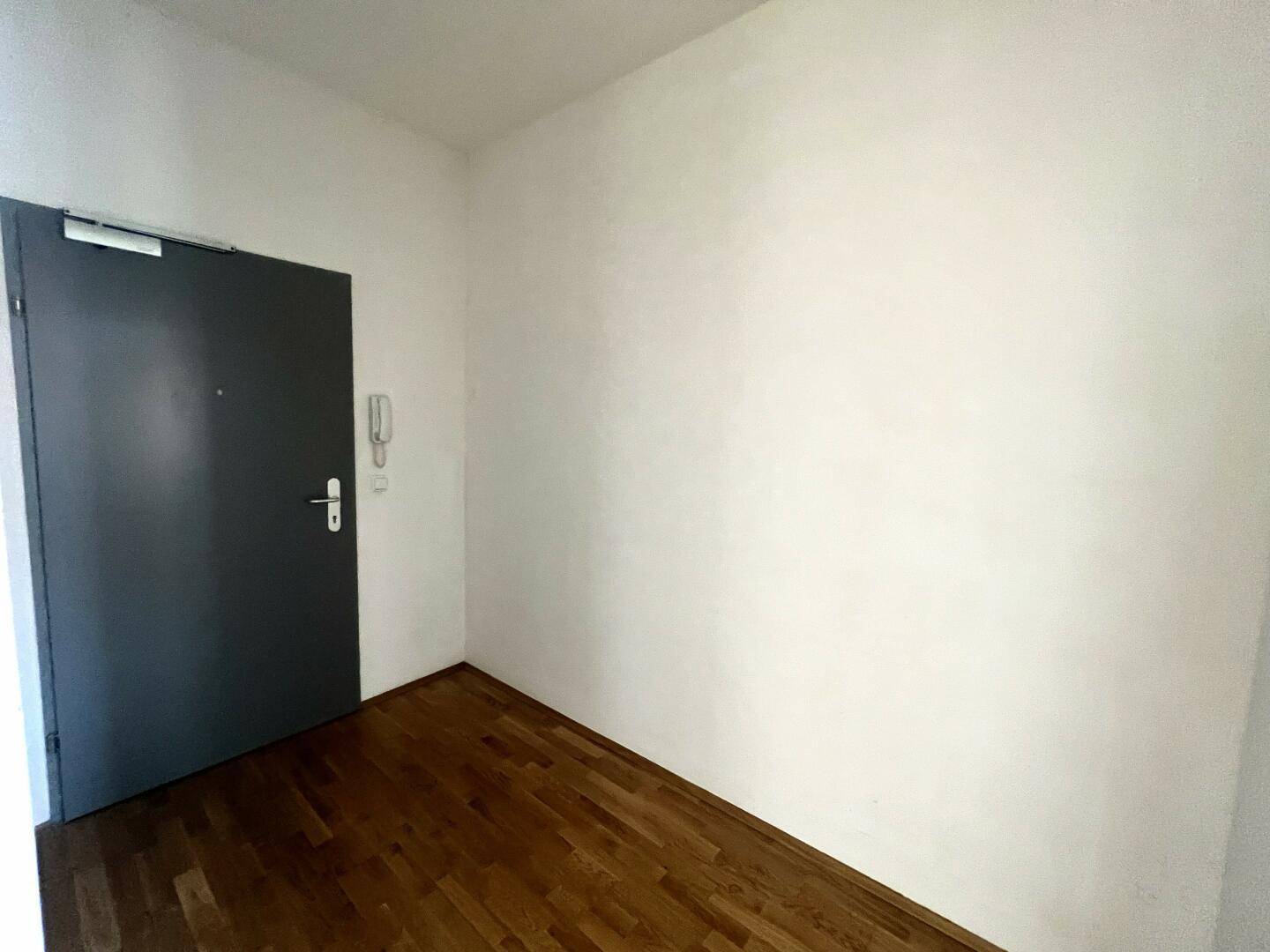 Eingangsbereich mit dunkler Wohnungstür und Holzparkettboden, bietet einen ersten Blick in die Wohnung.