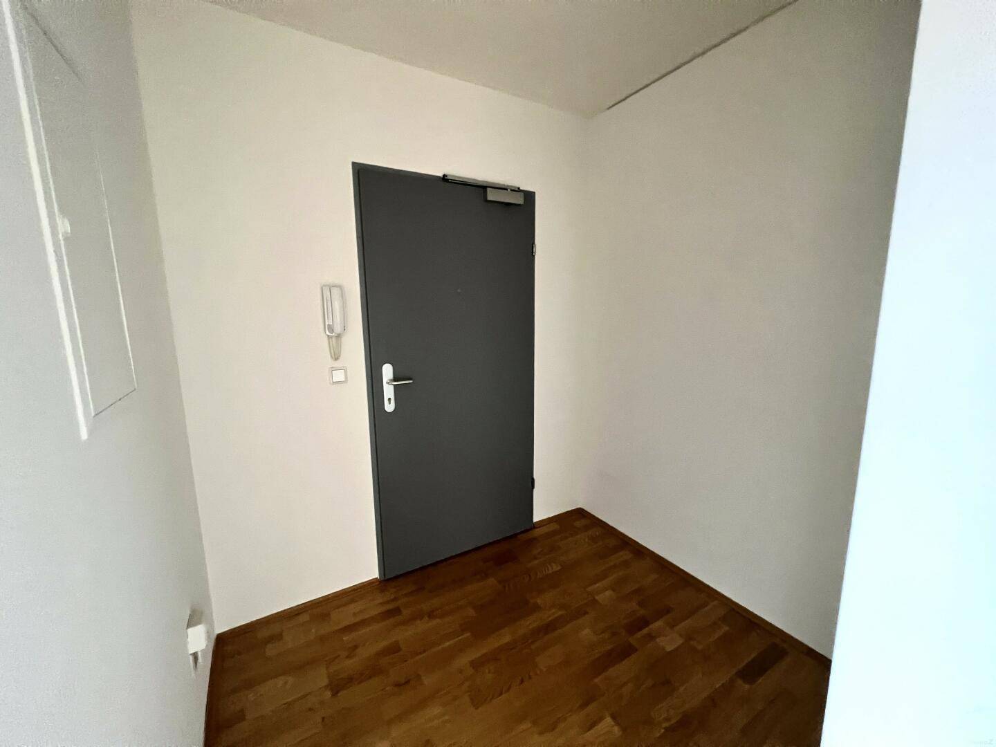 Eingangsbereich mit dunkler Tür, Gegensprechanlage und hellem Parkettboden.