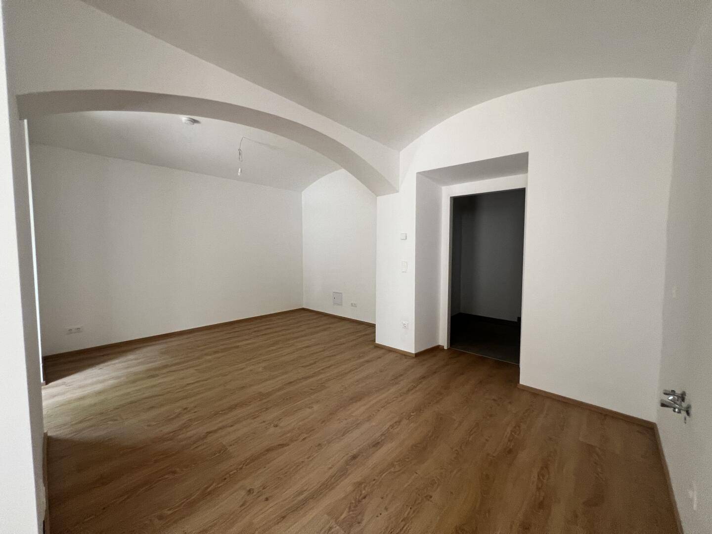 Großzügiger Wohnbereich mit Laminatboden und gewölbter Decke, bereit zur individuellen Gestaltung.