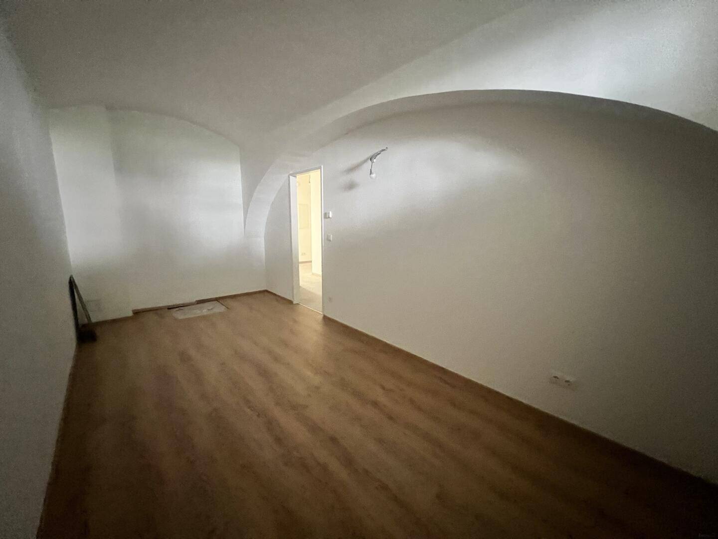 Geräumiger Raum mit gewölbter Decke und Laminatboden, bietet vielseitige Nutzungsmöglichkeiten.