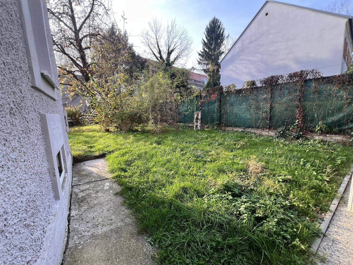 Grüner Gartenbereich mit Rasenfläche und Bäumen, umgeben von einer Hecke.