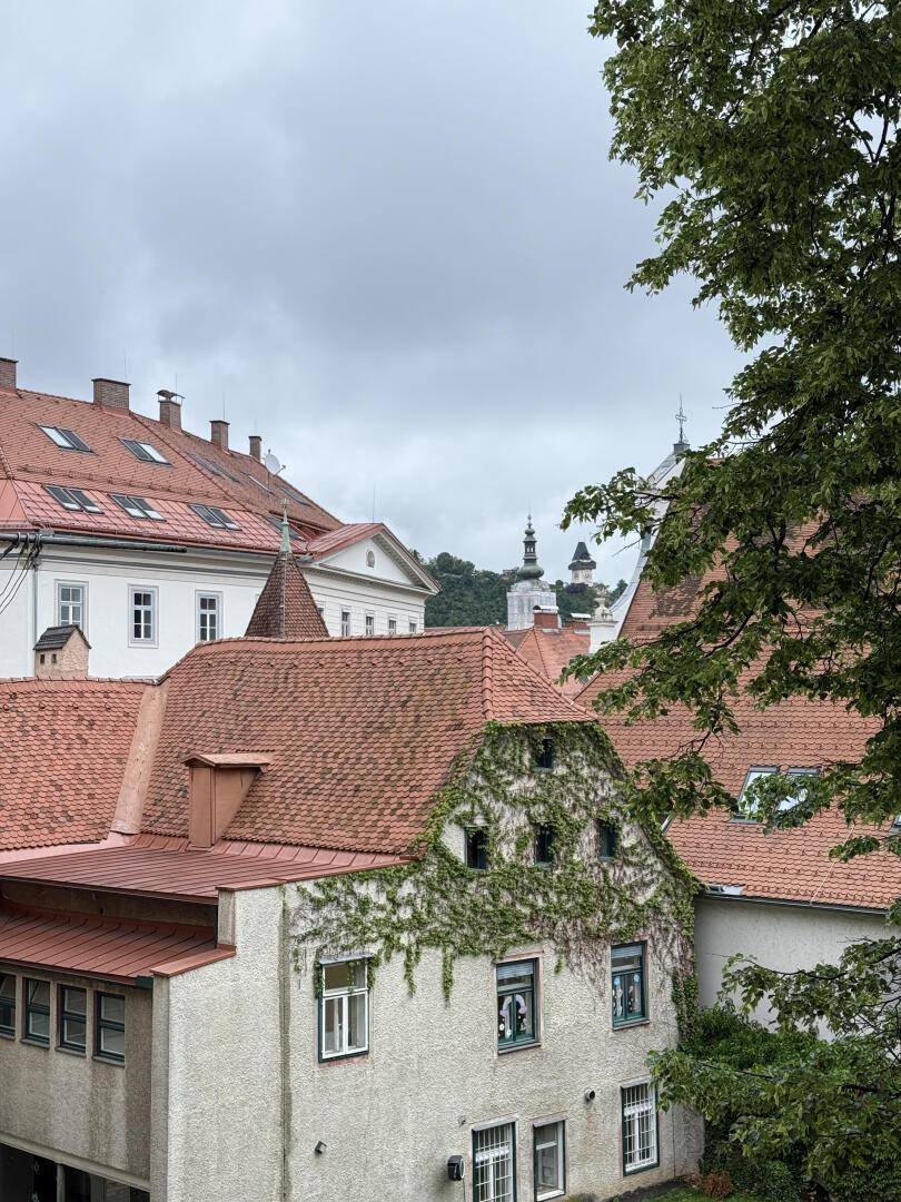 Historische Dächer und grüne Bäume prägen den malerischen Ausblick auf die Stadt.