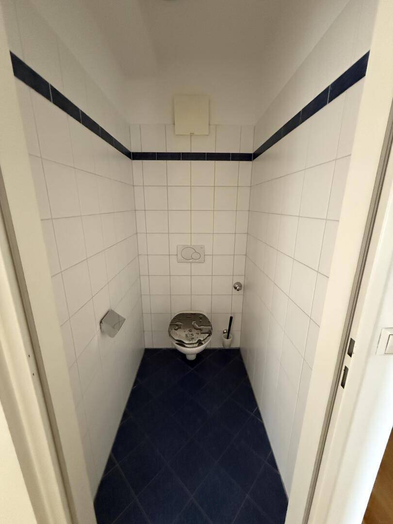 Separates WC mit blauen Bodenfliesen und weißen Wandfliesen, funktional und sauber.