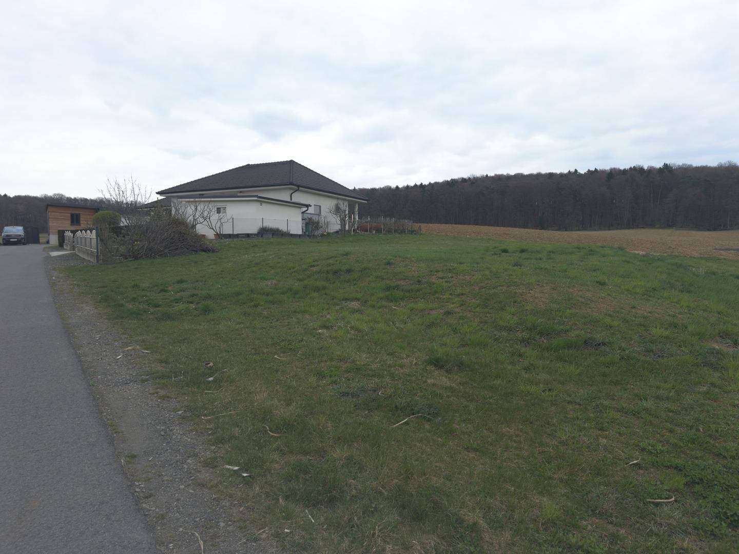 Grünfläche eines Grundstücks mit einem Wohnhaus und angrenzendem Waldgebiet unter grauem Himmel.