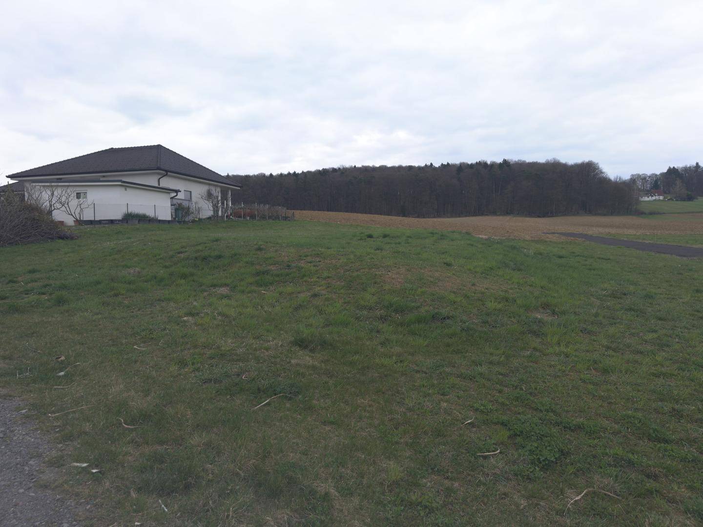 Unbebautes Grundstück mit Rasenfläche, einem Haus am Rand und einem Wald im Hintergrund.