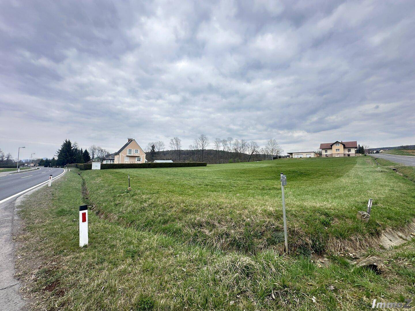 Weitläufige grüne Wiesen und Felder mit vereinzelten Häusern in der Ferne unter bewölktem Himmel.