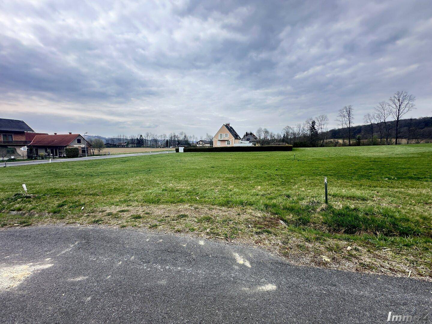 Weitläufige grüne Wiesen und Felder mit vereinzelten Häusern in der Ferne unter bewölktem Himmel.