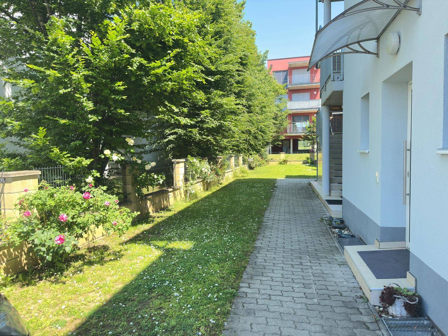 Grüner Gartenweg entlang des Gebäudes mit blühenden Rosenbüschen und hohen Bäumen.