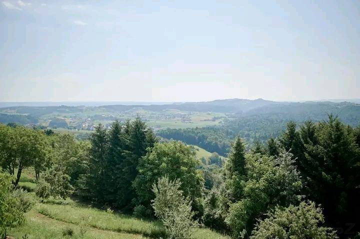 Malerische Landschaft mit dichten Wäldern, sanften Hügeln und einem weiten Horizont unter klarem Himmel.