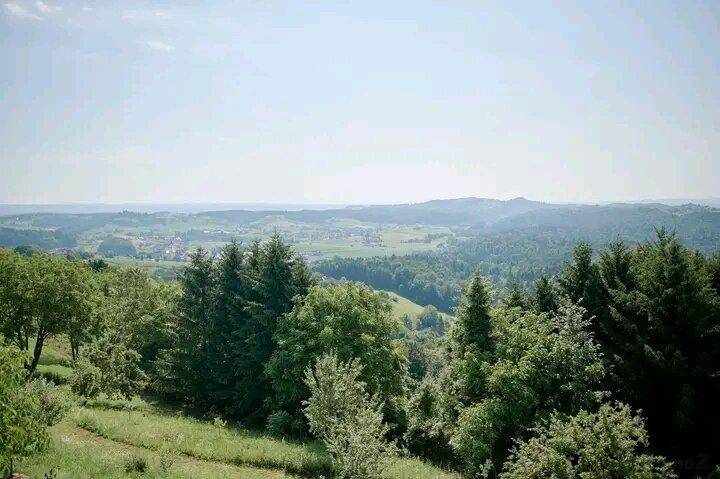 Weitläufiger Blick über eine hügelige Landschaft mit dichten Wäldern und einem klaren Himmel.