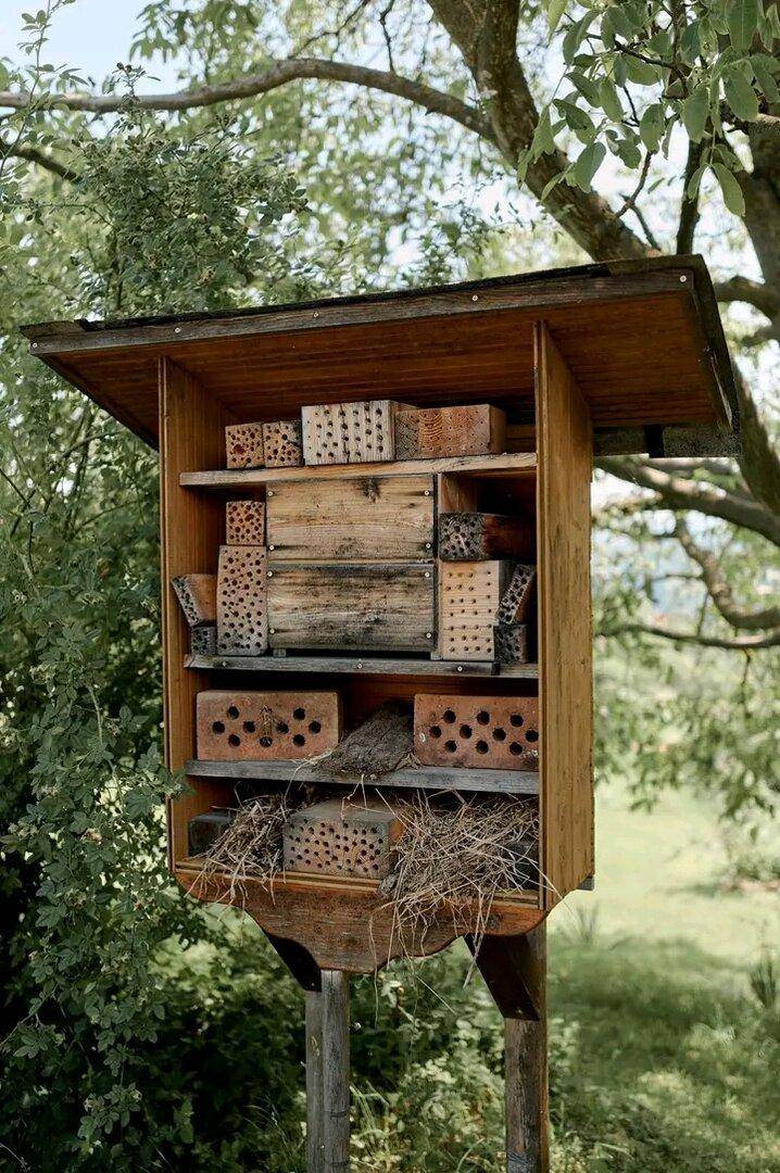 Ein Insektenhotel aus Holz mit verschiedenen Fächern für Nistmaterial in der Natur.