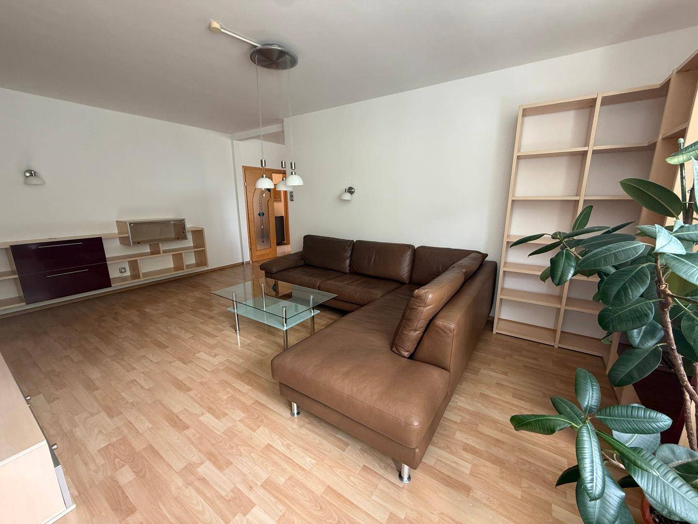 Heller Wohnbereich mit bequemer Couch, Regalen und einer großen Zimmerpflanze.