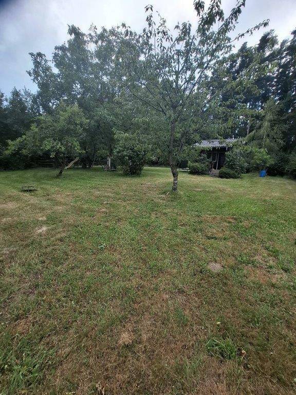 Große Rasenfläche mit verschiedenen Bäumen und einem kleinen Gartenhaus im Hintergrund.