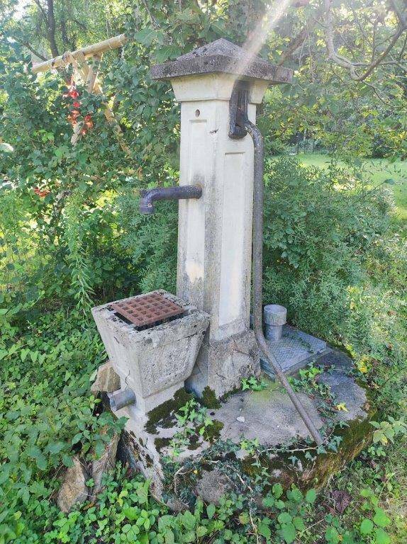 Alter, steinerner Wasserbrunnen mit Metallpumpe, umgeben von üppigem, grünem Bewuchs.
